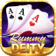 rummy all game new